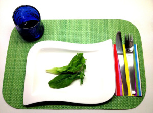 dieta para adelgazar