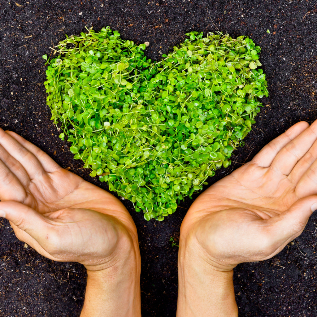 En black friday, compra cosmética ecosostenible